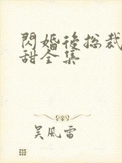 闪婚后总裁娇妻甜全集