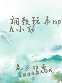 调教玩弄np高h小说