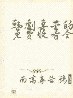 韩剧妻子的秘密免费收看全集