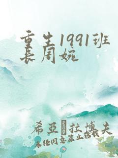 重生1991班长周婉