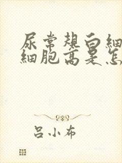 尿常规白细胞红细胞高是怎么回事