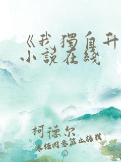 《我独自升级》小说在线