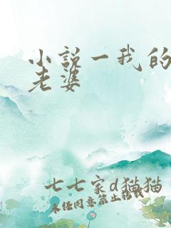 小说一我的空姐老婆