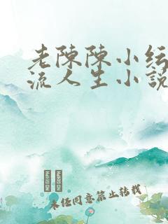 老陈陈小纭的风流人生小说免费阅读