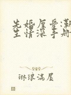 先婚厚爱:靳先生情深手册