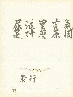 尿液里有氨气味是什么原因