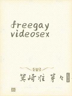 freegayvideosex