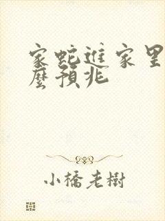 家蛇进家里是什么预兆