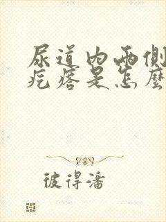 尿道内两侧有小疙瘩是怎么回事