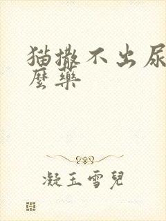 猫撒不出尿吃什么药