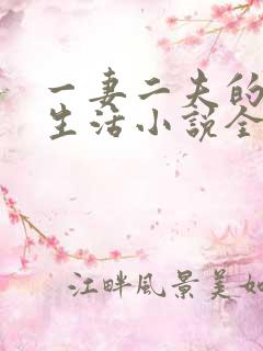 一妻二夫的快乐生活小说全文阅读