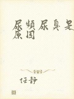 尿频尿臭是什么原因