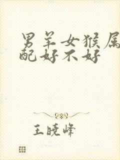 男羊女猴属相婚配好不好