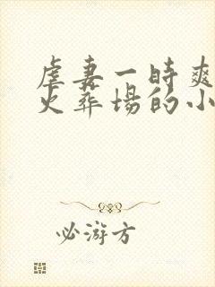 虐妻一时爽追妻火葬场的小说现言