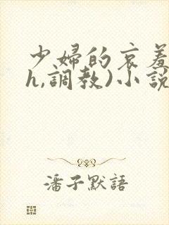 少妇的哀羞(高h,调教)小说