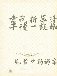 当我折辱清冷公子后一枝嫩柳笔趣阁