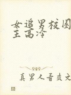 女追男校园文男主高冷