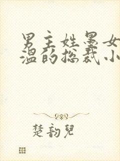 男主姓墨女主姓温的总裁小说