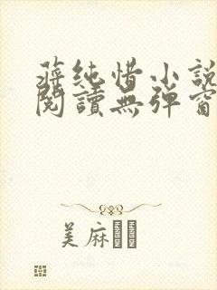 蒋纯惜小说免费阅读无弹窗