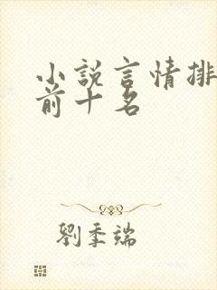 小说言情排行榜前十名