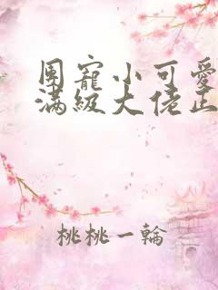 团宠小可爱成了满级大佬正版