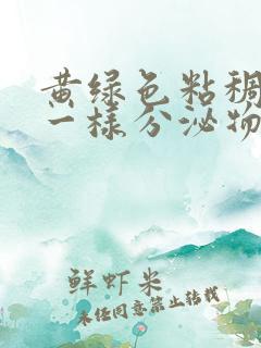 黄绿色粘稠鼻涕一样分泌物是什么