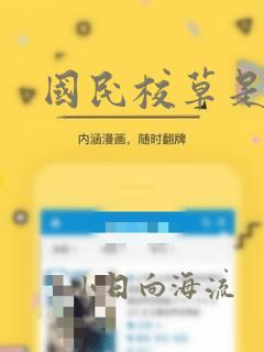 国民校草是女生