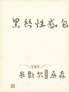 黑丝性感包臀裙