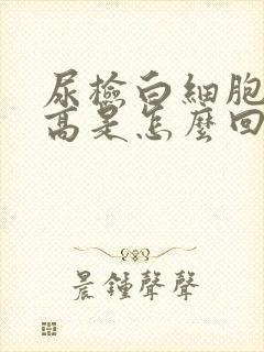 尿检白细胞沉渣高是怎么回事