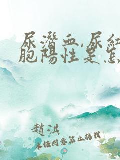 尿潜血,尿红细胞阳性是怎么回事