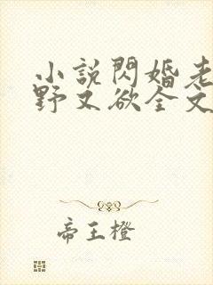 小说闪婚老公又野又欲全文