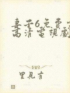 妻子6免费完整高清电视剧看