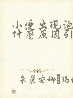 小便出现泡沫是什么原因引起的