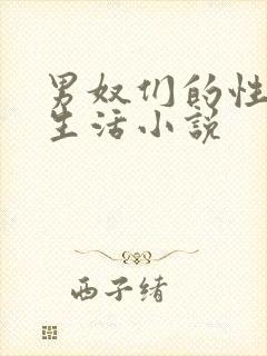 男奴们的性调教生活小说
