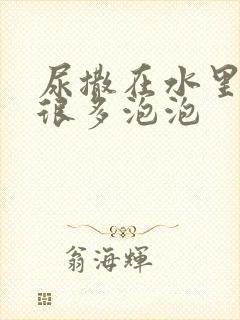 尿撒在水里面有很多泡泡