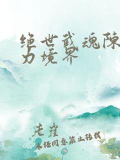 绝世武魂陈枫实力境界