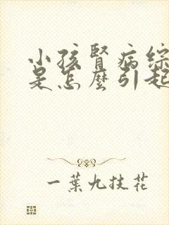 小孩肾病综合症是怎么引起的