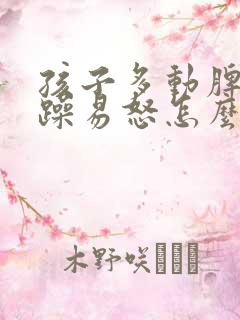 孩子多动脾气暴躁易怒怎么回事