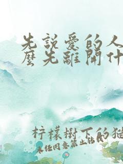 先说爱的人为什么先离开什么歌名