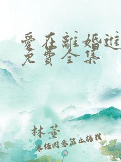 爱在离婚进行时免费全集