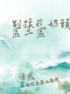 别揉我奶头嗯一区二区