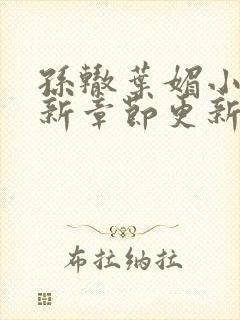 孙辙叶媚小说最新章节更新内容