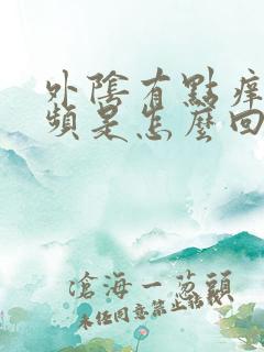 外阴有点痒还尿频是怎么回事