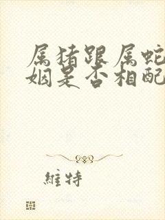 属猪跟属蛇的婚姻是否相配