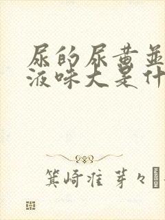 尿的尿黄并且尿液味大是什么原因