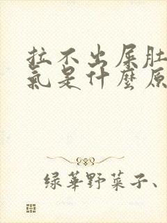 拉不出屎肚子胀气是什么原因