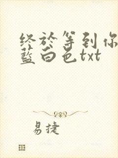 终于等到你小说蓝白色txt