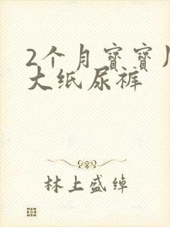 2个月宝宝用多大纸尿裤