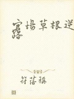 官场草根逆袭之路