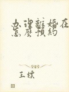 办理离婚在网上怎么预约